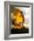 The Wicker Man-null-Framed Photo