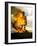 The Wicker Man-null-Framed Photo