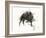 The Wild Boar, the River and the Two Mountains.-Leonardo Flores-Framed Giclee Print