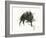 The Wild Boar, the River and the Two Mountains.-Leonardo Flores-Framed Giclee Print