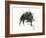 The Wild Boar, the River and the Two Mountains.-Leonardo Flores-Framed Giclee Print