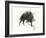 The Wild Boar, the River and the Two Mountains.-Leonardo Flores-Framed Giclee Print