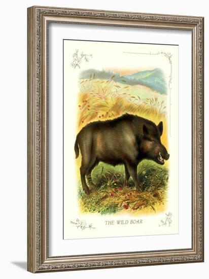 The Wild Boar--Framed Art Print