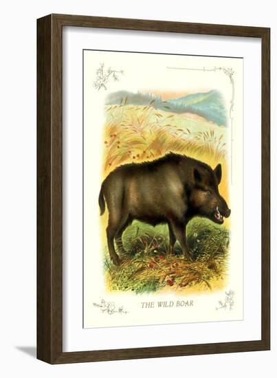 The Wild Boar-null-Framed Art Print