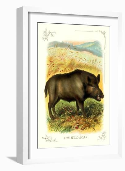 The Wild Boar-null-Framed Art Print