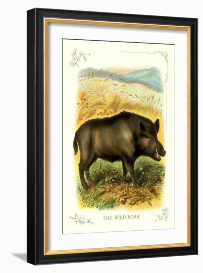 The Wild Boar--Framed Art Print