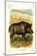 Premium Giclee Print
