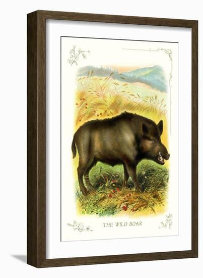 The Wild Boar-null-Framed Art Print