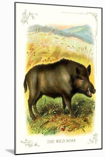 The Wild Boar-null-Mounted Art Print