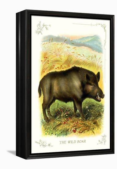 The Wild Boar-null-Framed Stretched Canvas
