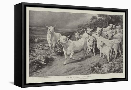 The Wild Cattle of Chillingham-Basil Bradley-Framed Premier Image Canvas