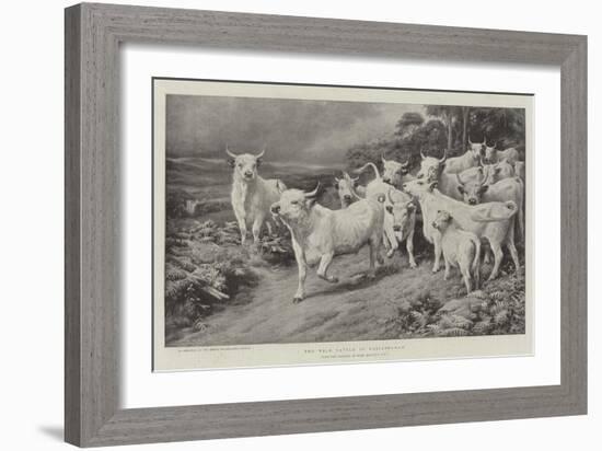 The Wild Cattle of Chillingham-Basil Bradley-Framed Giclee Print