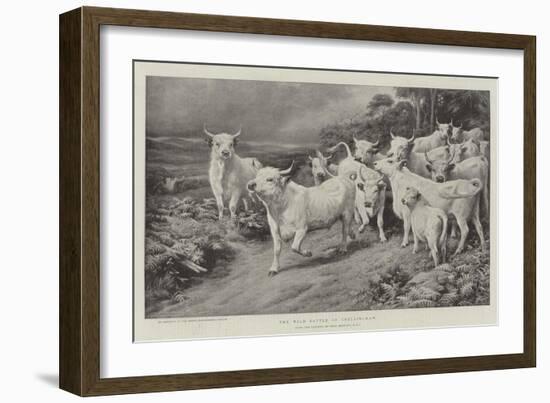 The Wild Cattle of Chillingham-Basil Bradley-Framed Giclee Print