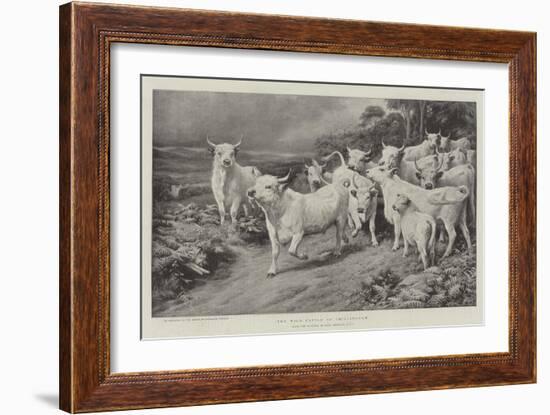 The Wild Cattle of Chillingham-Basil Bradley-Framed Giclee Print