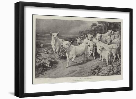 The Wild Cattle of Chillingham-Basil Bradley-Framed Giclee Print