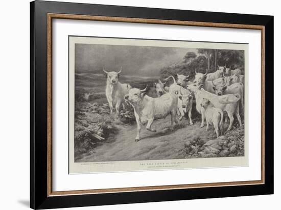 The Wild Cattle of Chillingham-Basil Bradley-Framed Giclee Print