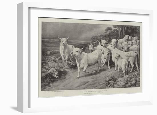 The Wild Cattle of Chillingham-Basil Bradley-Framed Giclee Print