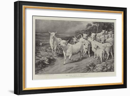 The Wild Cattle of Chillingham-Basil Bradley-Framed Giclee Print