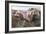 The Wild Horse Hunters-Charles Marion Russell-Framed Art Print