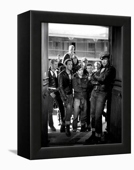 The Wild One, Jerry Paris, Alvy Moore, Marlon Brando, 1954-null-Framed Stretched Canvas