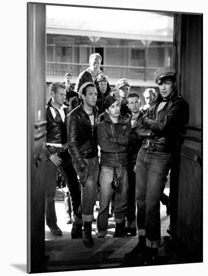 The Wild One, Jerry Paris, Alvy Moore, Marlon Brando, 1954-null-Mounted Photo