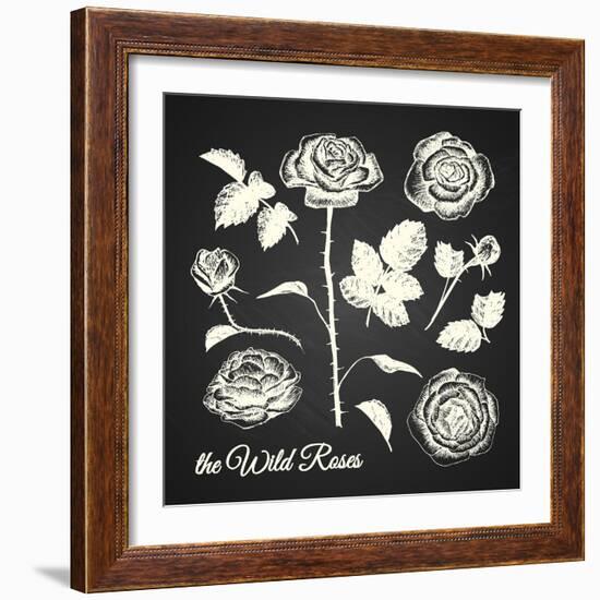 The Wild Roses - Hand Drawn Illustrations - Chalkboard-ONiONAstudio-Framed Art Print