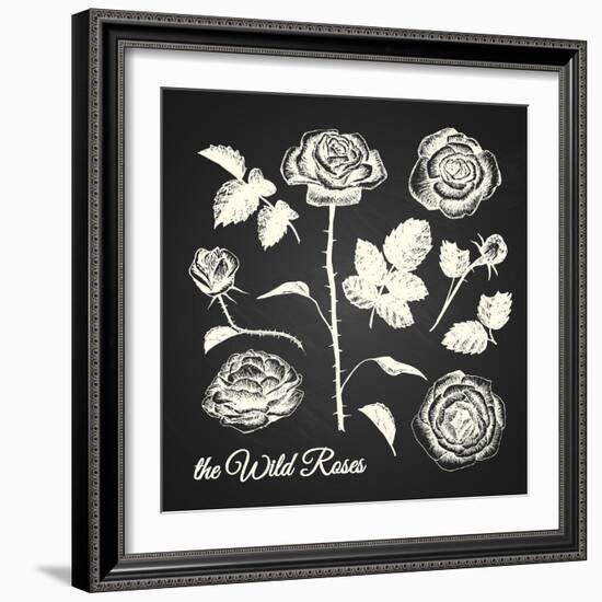 The Wild Roses - Hand Drawn Illustrations - Chalkboard-ONiONAstudio-Framed Art Print