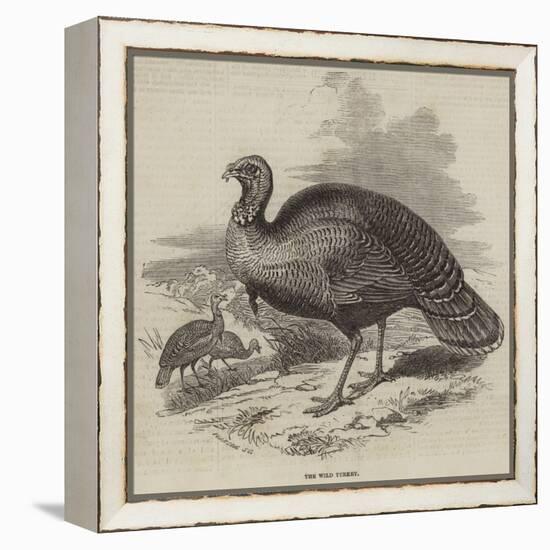 The Wild Turkey-null-Framed Premier Image Canvas