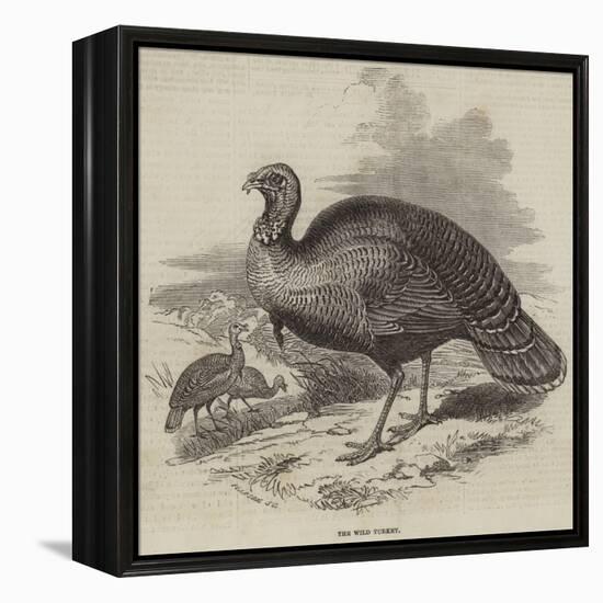 The Wild Turkey-null-Framed Premier Image Canvas