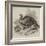 The Wild Turkey-null-Framed Giclee Print