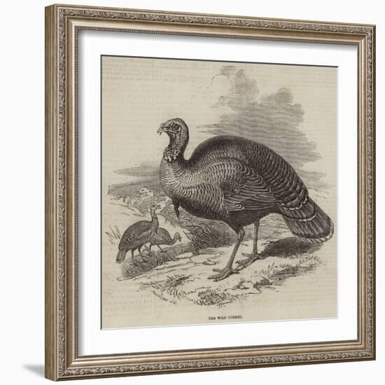 The Wild Turkey-null-Framed Giclee Print