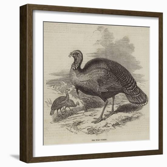 The Wild Turkey-null-Framed Giclee Print