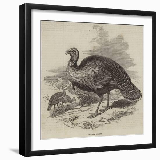 The Wild Turkey-null-Framed Giclee Print