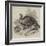 The Wild Turkey-null-Framed Giclee Print