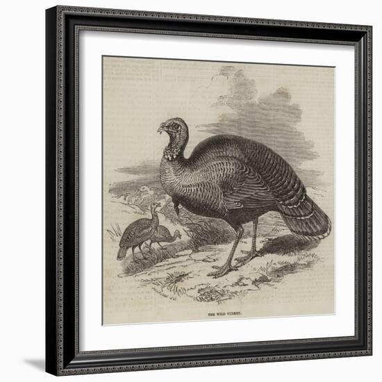 The Wild Turkey-null-Framed Giclee Print