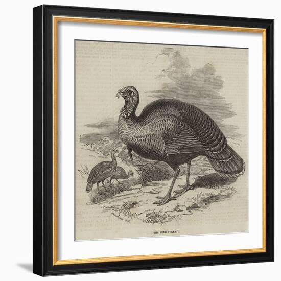 The Wild Turkey-null-Framed Giclee Print