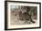 The Wildcat by Alfred Edmund Brehm-Stefano Bianchetti-Framed Giclee Print