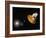 The Wilkinson Microwave Anisotropy Probe-Stocktrek Images-Framed Photographic Print