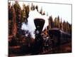 Photographic Print