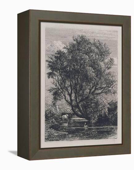 The Willow (Etching)-Samuel Palmer-Framed Premier Image Canvas