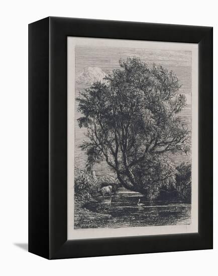 The Willow (Etching)-Samuel Palmer-Framed Premier Image Canvas