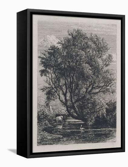 The Willow (Etching)-Samuel Palmer-Framed Premier Image Canvas