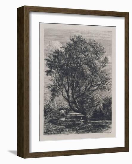 The Willow (Etching)-Samuel Palmer-Framed Giclee Print