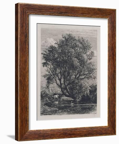 The Willow (Etching)-Samuel Palmer-Framed Giclee Print