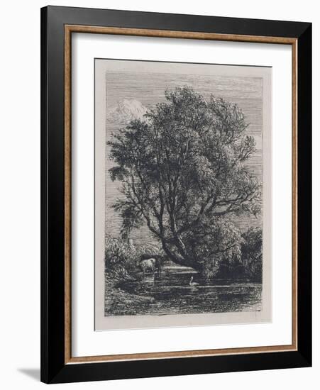 The Willow (Etching)-Samuel Palmer-Framed Giclee Print