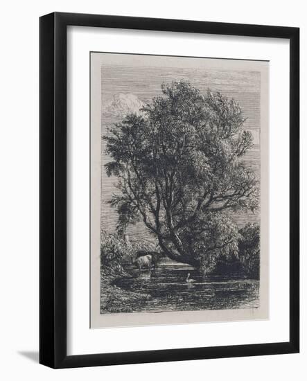 The Willow (Etching)-Samuel Palmer-Framed Giclee Print