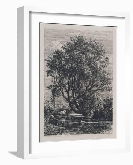 The Willow (Etching)-Samuel Palmer-Framed Giclee Print