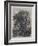 The Willow (Etching)-Samuel Palmer-Framed Giclee Print