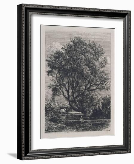 The Willow (Etching)-Samuel Palmer-Framed Giclee Print