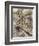 The Wind in the Willows-Arthur Rackham-Framed Giclee Print